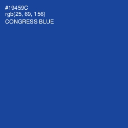 #19459C - Congress Blue Color Image